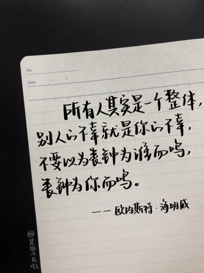 “所以我时常害怕，愿中国青年都摆脱冷气，只是向上走，不必听自暴自弃者流的话。能做事的做事，能发声的发声。有一分热，发一分光，就令萤火一般，也可以在黑暗里发一点光，不必等候炬火。
此后如竟没有炬火：我便…