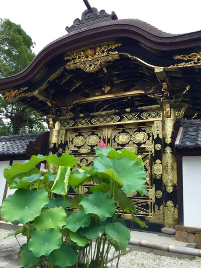 建长寺-方丈