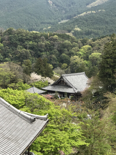 长谷寺