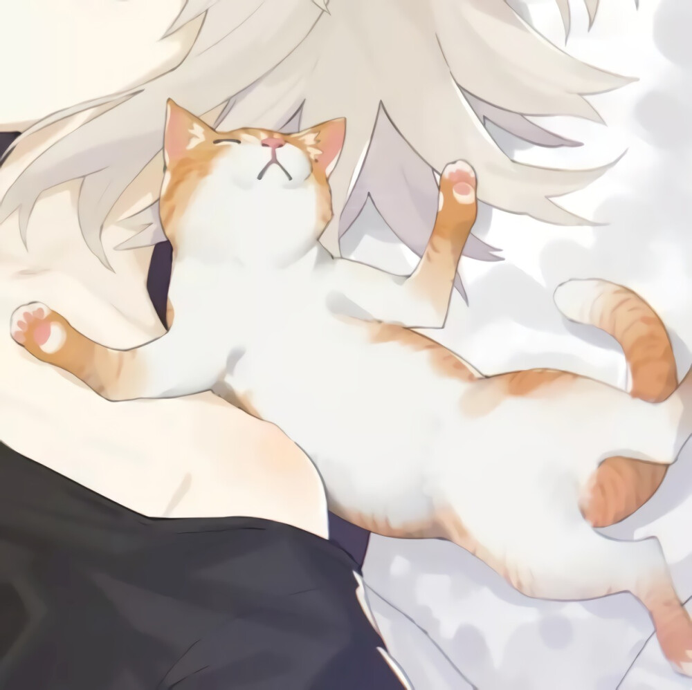 •́-ก̀