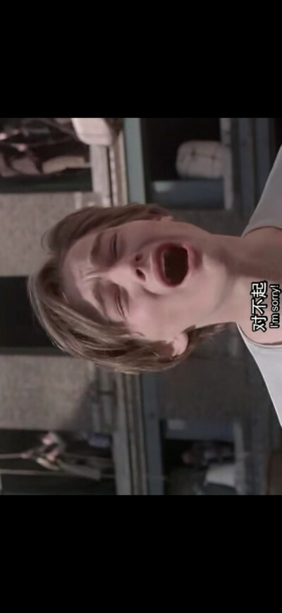 莱昂纳多自截图