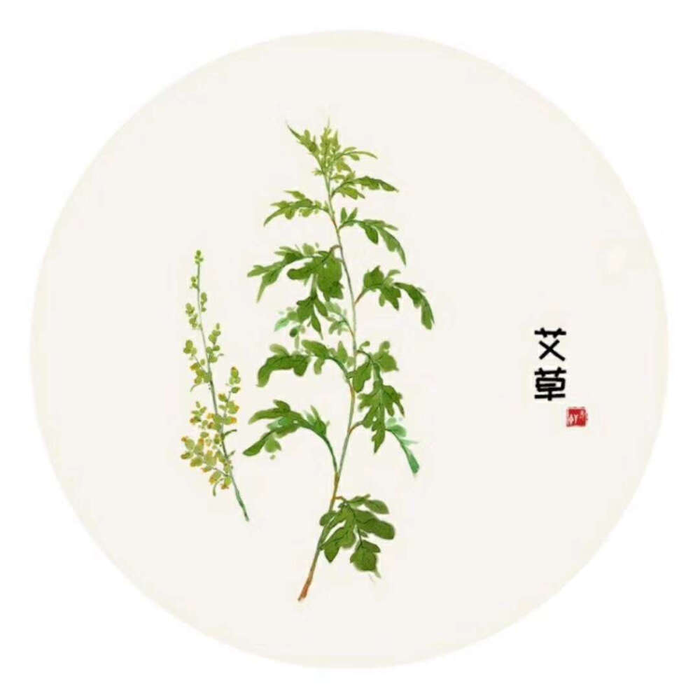 手绘植物