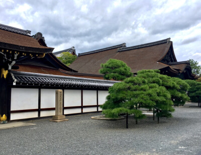 京都东寺