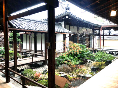 京都东寺