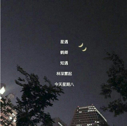 网名
