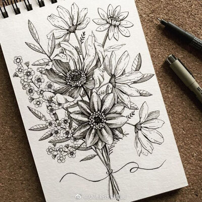 手绘素材~
ins：alicelovesdrawing ​​​