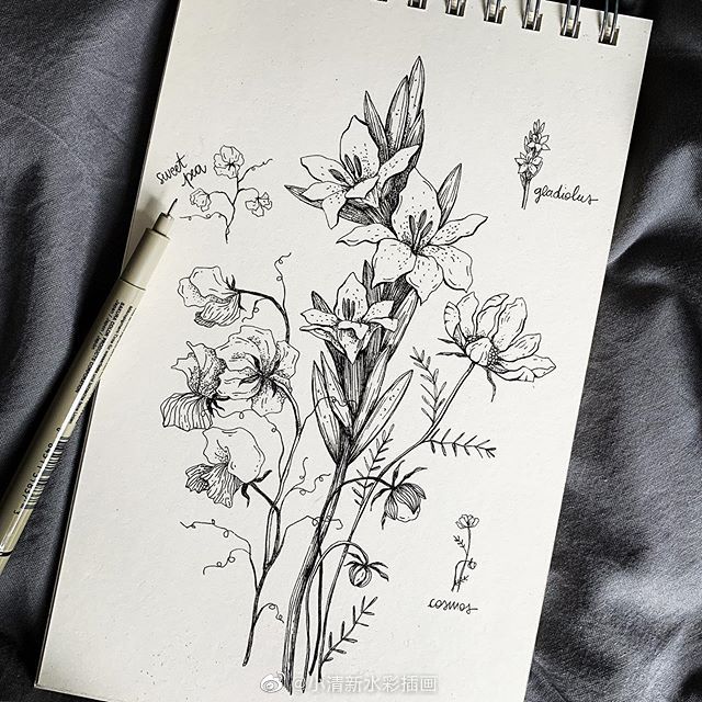 手绘素材~
ins：alicelovesdrawing ???