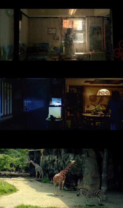 阳光普照/电影构图