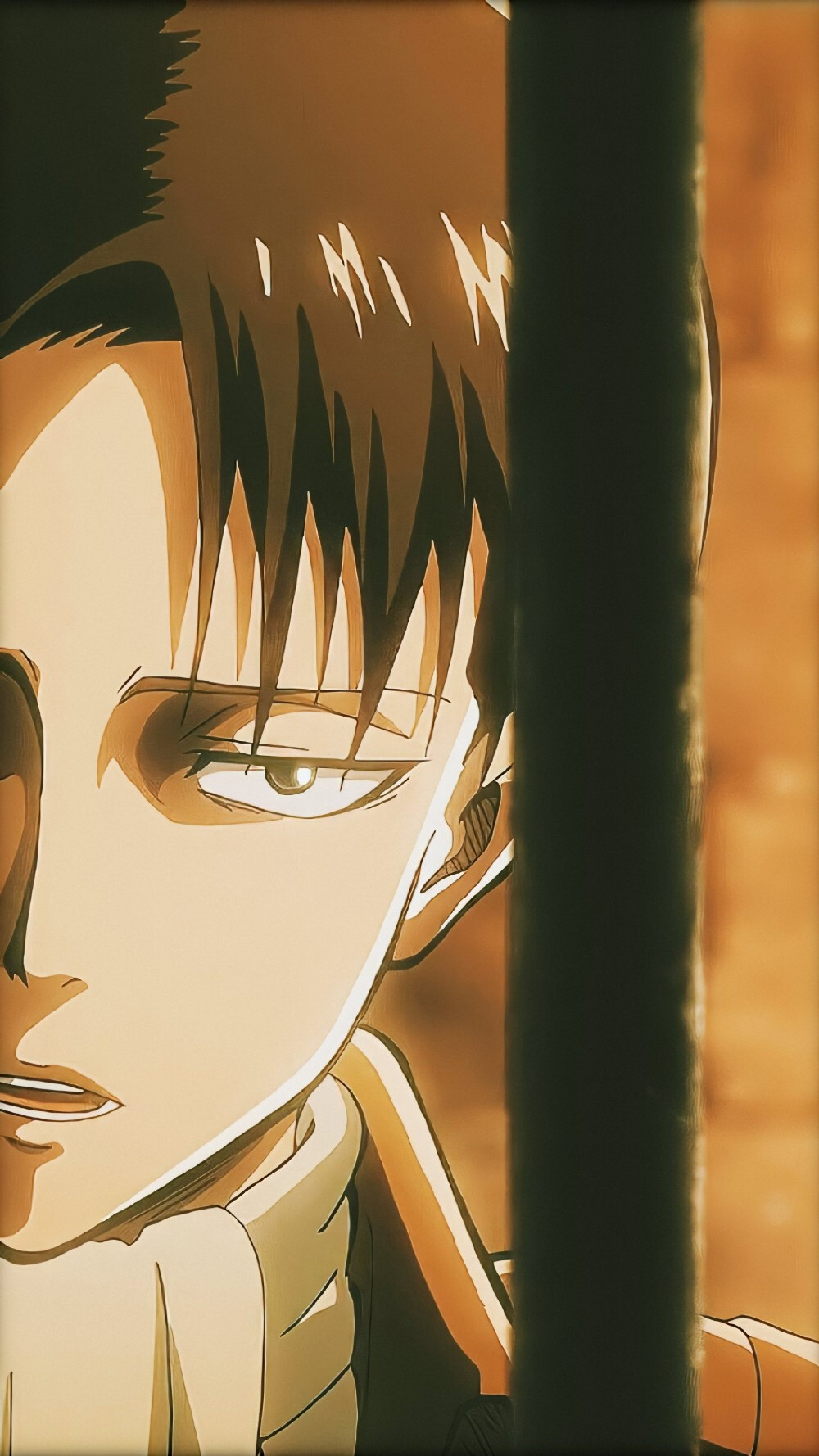 levi