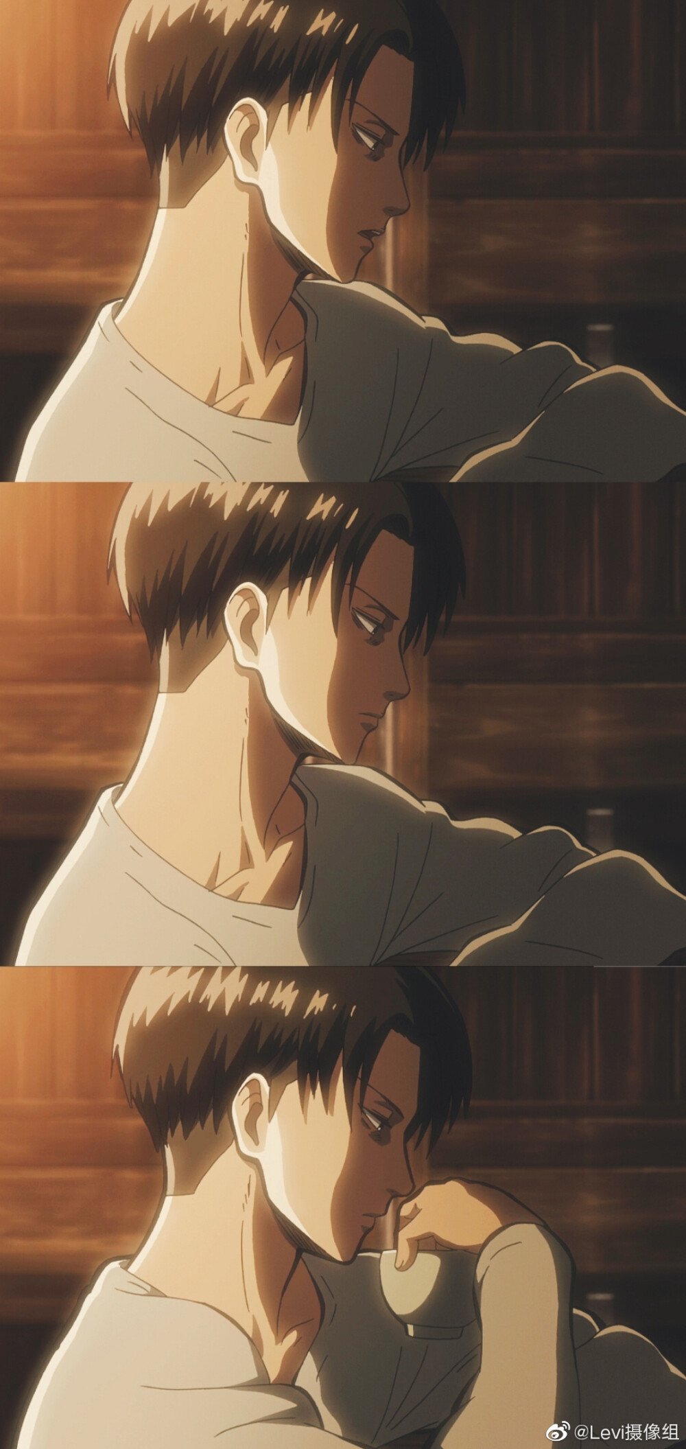 levi