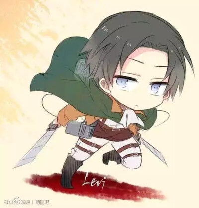 levi