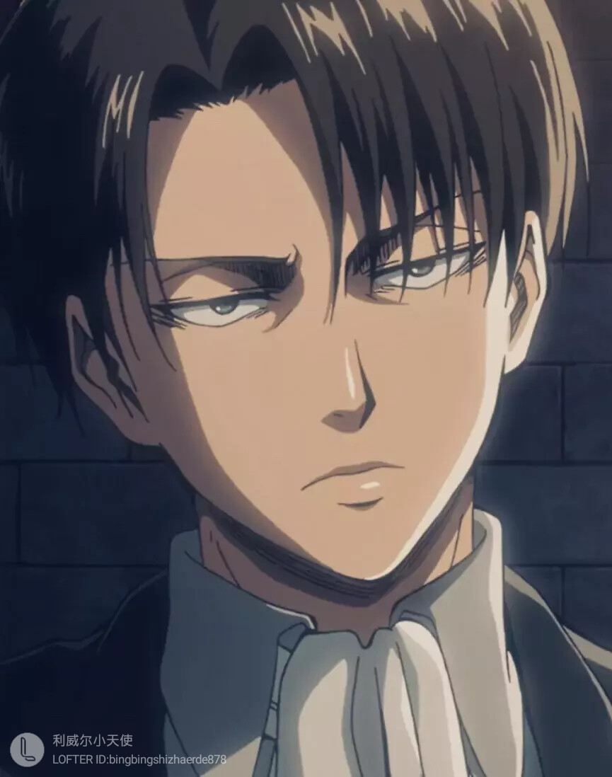 levi