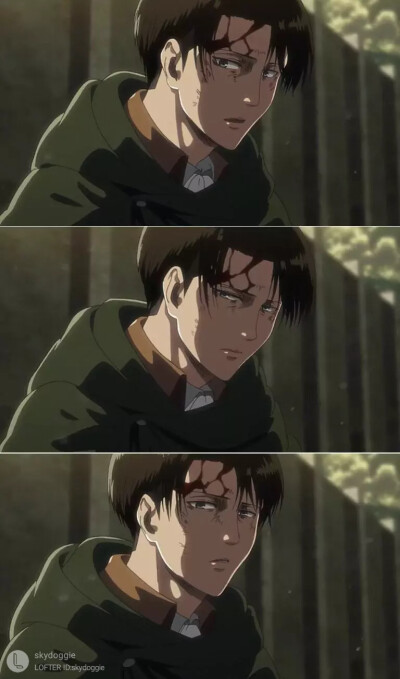 levi