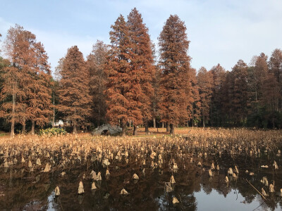 冬天的磨山