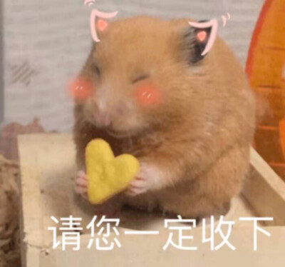 网恋选这图 超甜√
