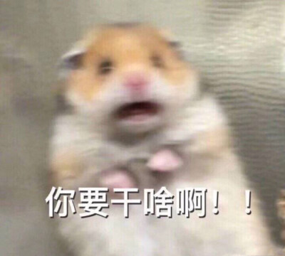 网恋选这图 超甜√
