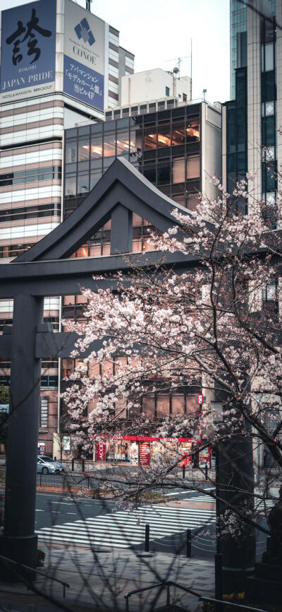 日本