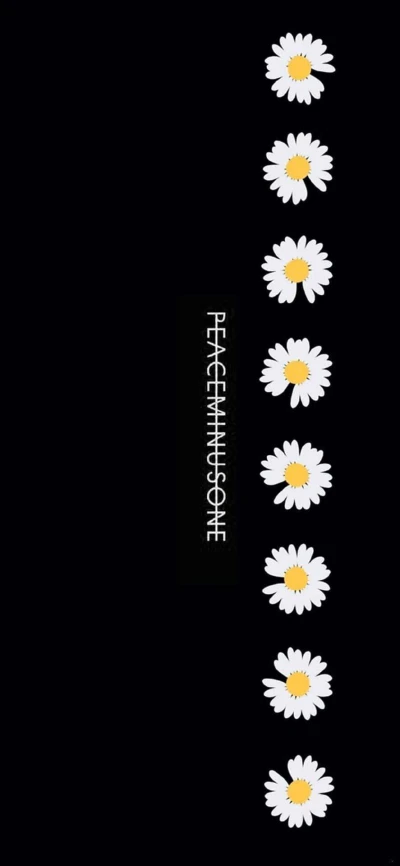 权志龙壁纸雏菊