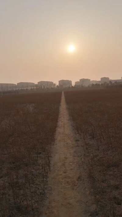 ——有工作的地方没有家，有家的地方却没有工作，异乡容纳不下灵魂，故乡安置不了肉身，一个叫家的地方找不到养家糊口的路，找到了养家糊口的地方却安不了家，从此便有了背井离乡、游子漂泊、离开亲人，独自乡愁………