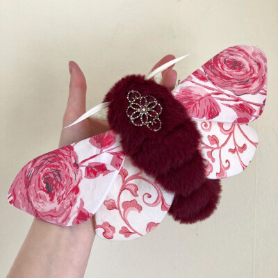 昆虫作品
Molly #遇见艺术##手工[超话]# ​​​