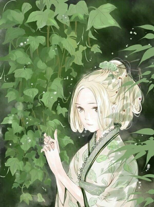 草木皆美，人不是，中药很苦，你也是