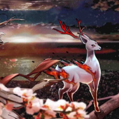 本命/瑶云中君/王者情头/自截侵删/做我的猫