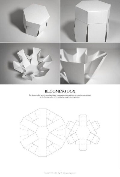 不同盒型包装结构展开图，转需~