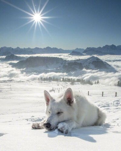 玩雪好开心嗷