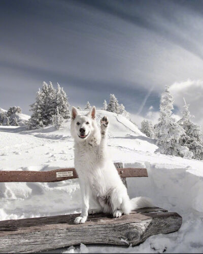 玩雪好开心嗷