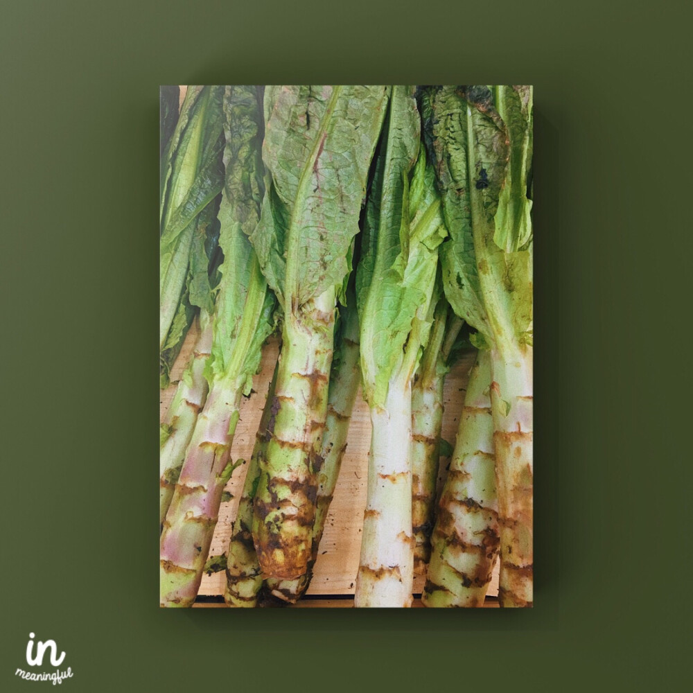 家里没菜了，出去买菜呀
