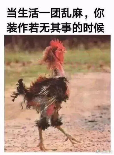 当生活一团乱麻，你装作若无其事的时候