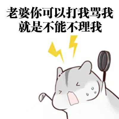 老婆～～
/仓鼠表情包/情侣/情人节必备