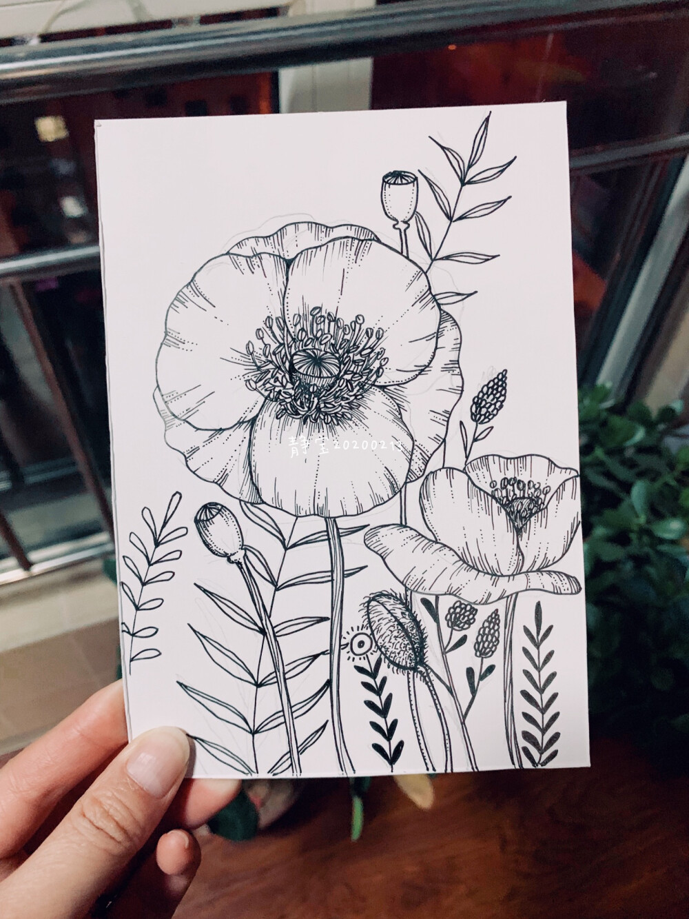 黑白花卉插画