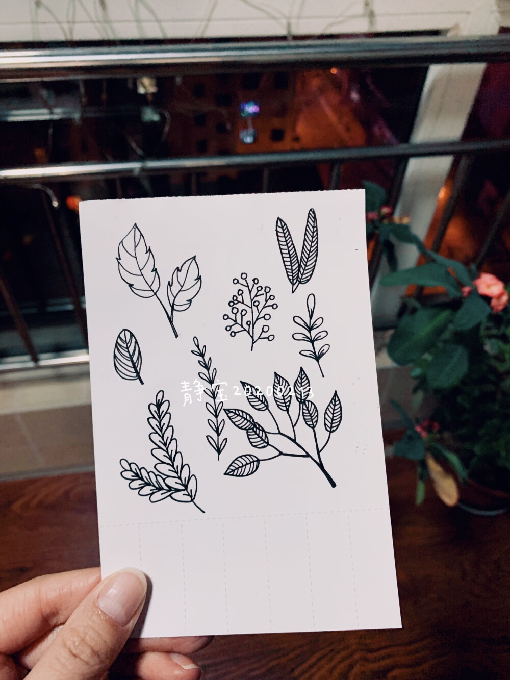 黑白花卉插画