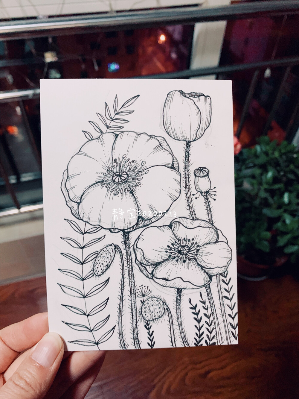 黑白花卉插画