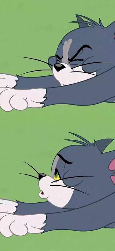 iPhone 壁纸 猫和老鼠 Tom Jerry 汤姆 杰瑞 