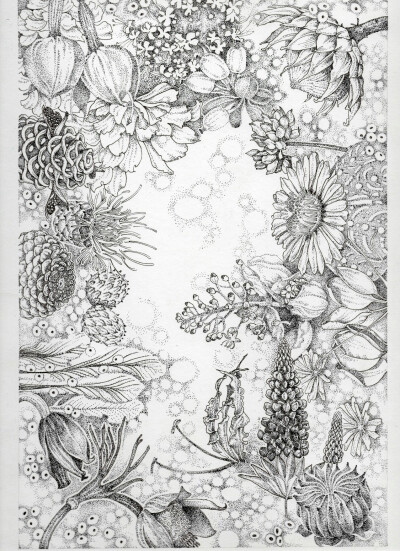 植物，黑白画