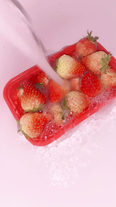 草莓