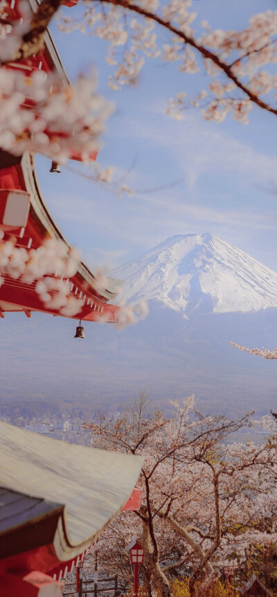 樱花，富士山