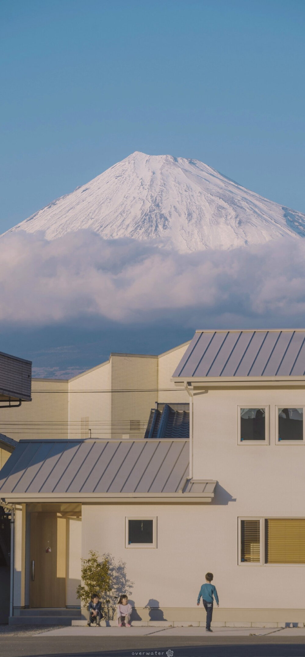 樱花，富士山