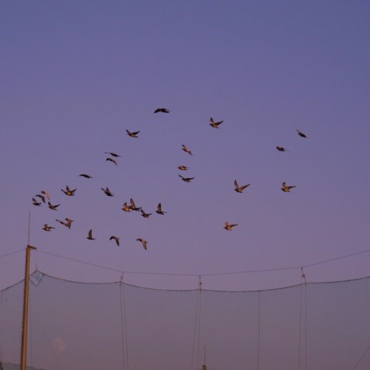 ᵀᵃᵏᵉ ⁱᵗ ᵉᵃˢʸ ˡⁱᶠᵉ ʸᵒᵘ ᵈᵒⁿ'ᵗ ʰᵃᵛᵉ ᵗʰᵃᵗ ᵐᵘᶜʰ ᵃᵘᵈⁱᵉⁿᶜᵉ·
放松点生活，你没那么多观众。 ​​​​