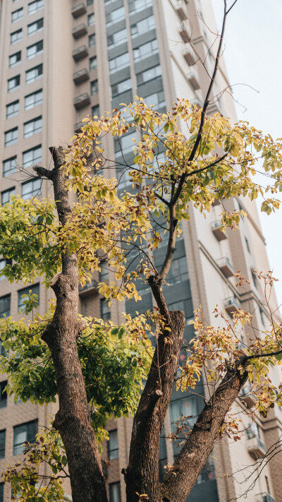 壁纸分享。 高清滴滴我 vx lihailong0314