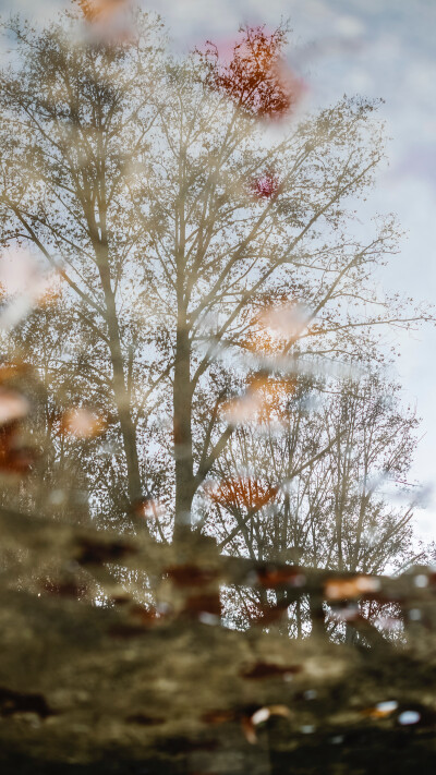 壁纸分享。 高清滴滴我 vx lihailong0314