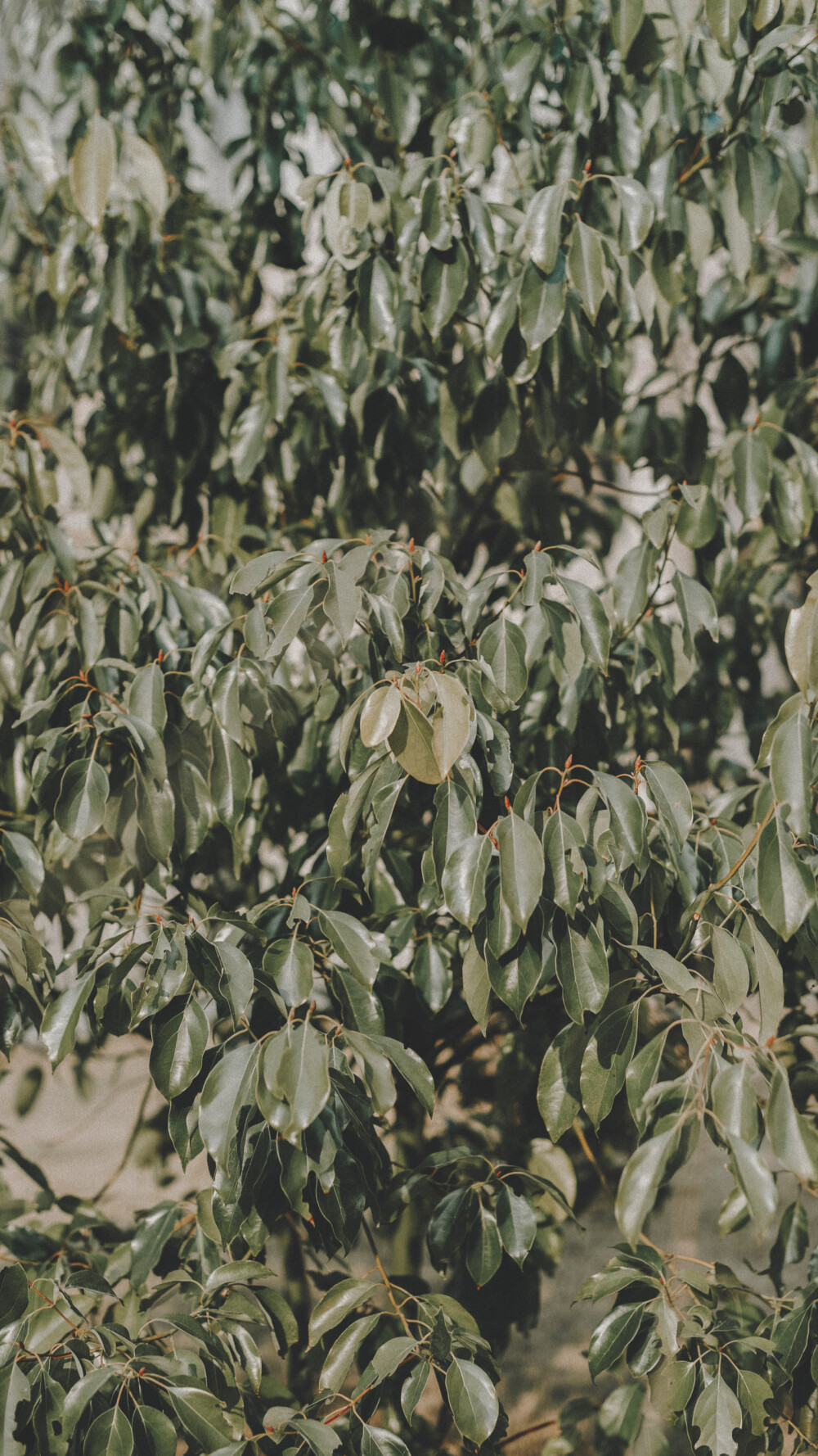 壁纸分享。 高清滴滴我 vx lihailong0314