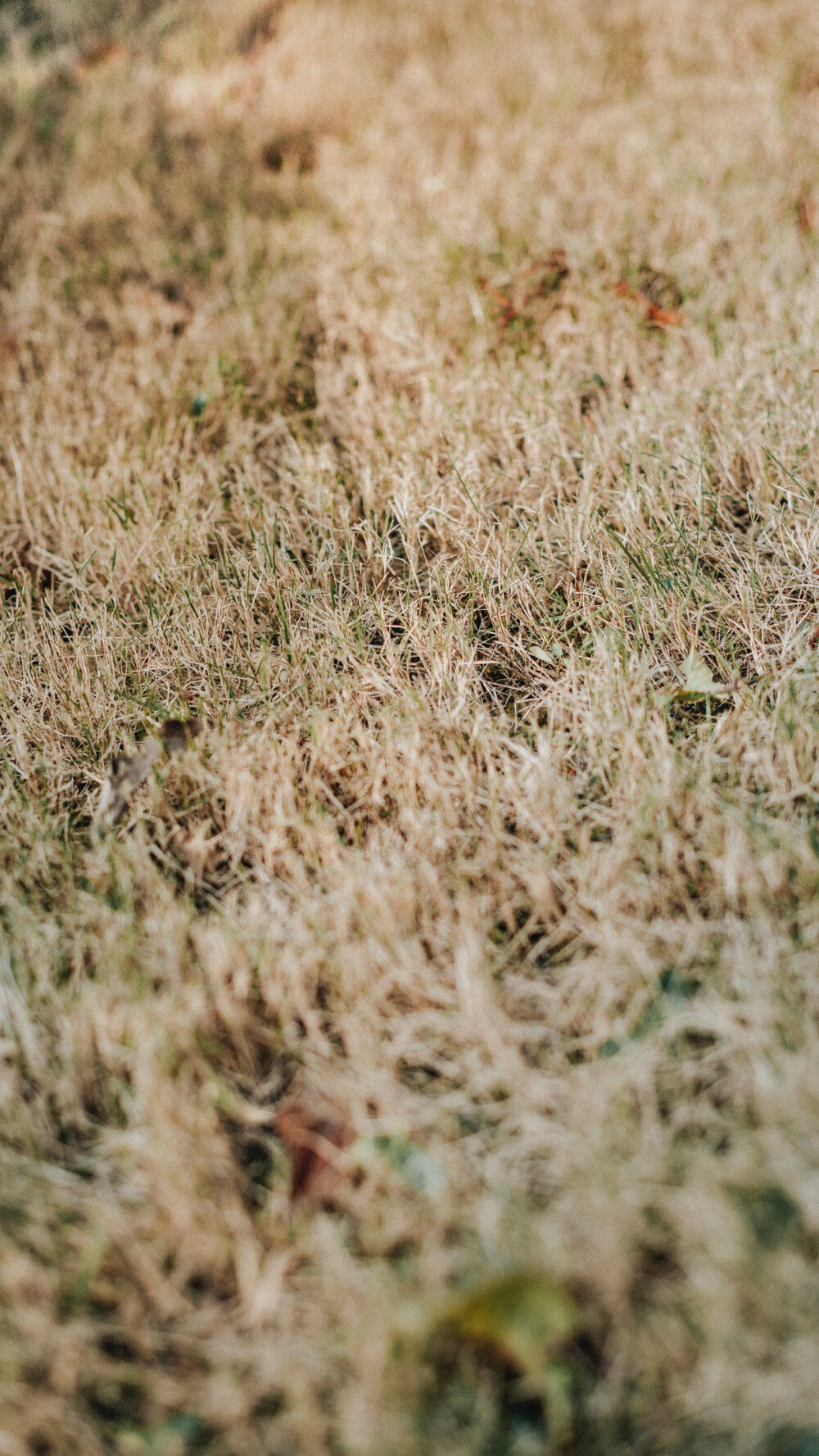 壁纸分享。 高清滴滴我 vx lihailong0314