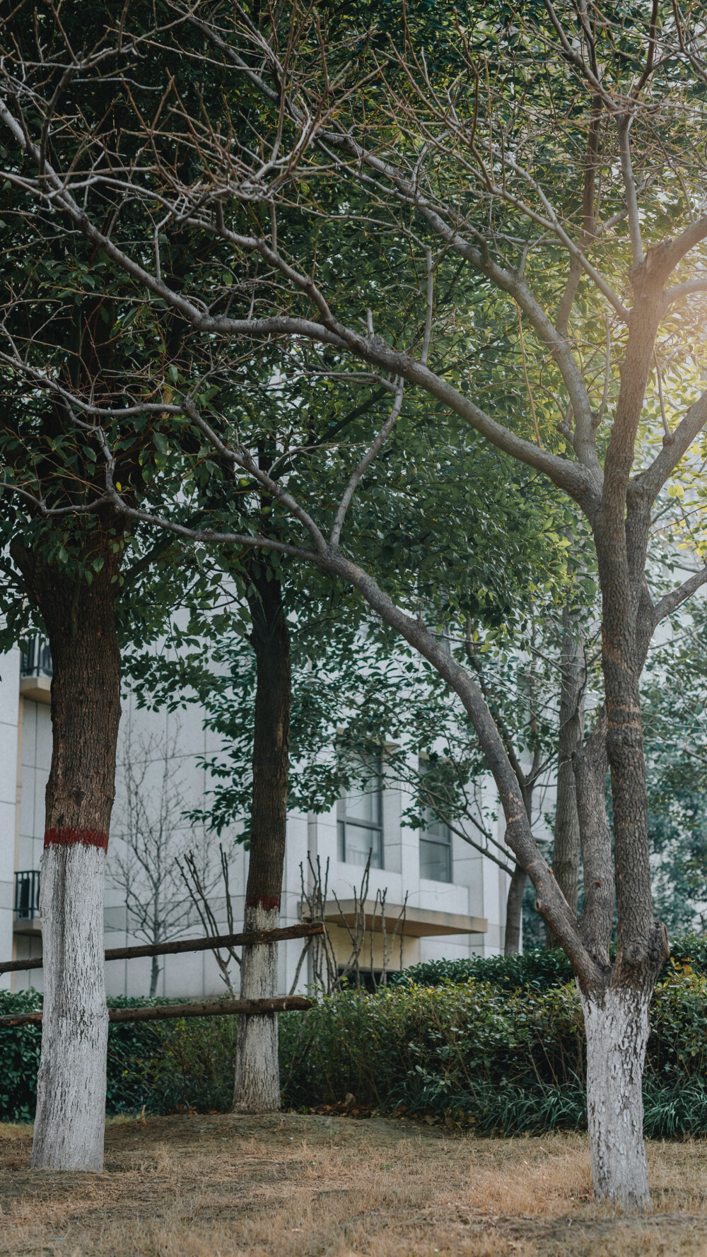 壁纸分享。 高清滴滴我 vx lihailong0314