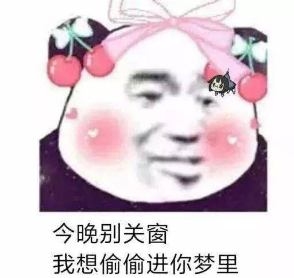 熊猫头可爱表情包