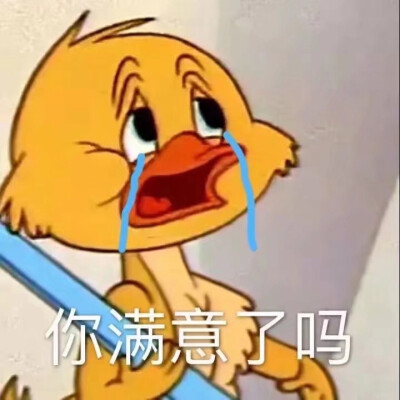 猫和老鼠 表情包