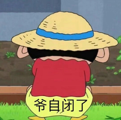 蜡笔小新 表情包