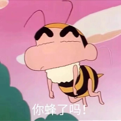 蜡笔小新 表情包